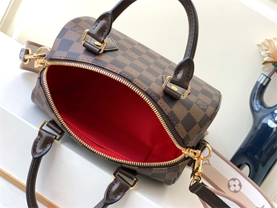 L.V Speedy Bandoulière 20 Danier Ebene N40489