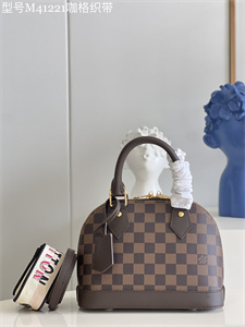 L.V Alma BB Bag Damier Ebene Canvas N41221