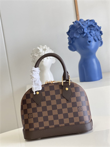 L.V Alma BB Bag Damier Ebene Canvas N41221
