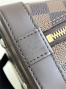 L.V Alma BB Bag Damier Ebene Canvas N41221