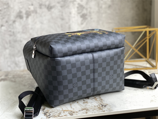 L.V Discovery Backpack Damier Graphite N45275