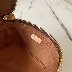 L.V Packing Cube PM Monogram Canvas M43688