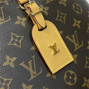 L.V Odéon MM Bag Monogram Canvas  M45355