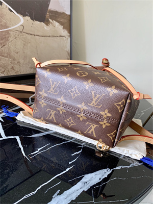 L.V Montsouris BB Backpack Monogram M45502