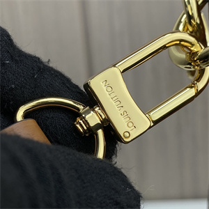 L.V Loop Hobo Bag Monogram Canvas M46311