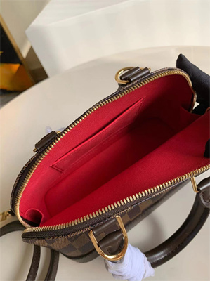 L.V Alma BB Bag Damier Ebene Canvas N40606