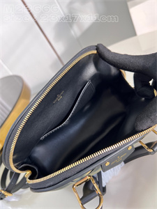 L.V Alma BB Bag Lamb Leather Gradient M23666