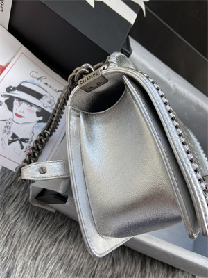 Cha.nel Medium Leboy Bag With Top Handle Python Leather Silver Metal A94804