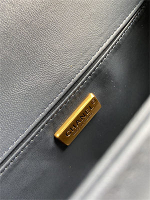 Cha.nel Medium Leboy Bag With Top Handle Python Leather Gold Metal A94804