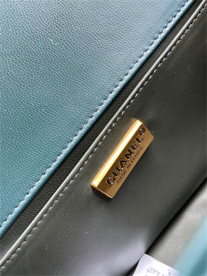 Cha.nel Medium Leboy Bag With Top Handle Python Leather Gold Metal A94804