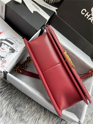 Cha.nel Medium Leboy Bag With Top Handle Python Leather Gold Metal A94804