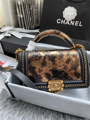 Cha.nel Medium Leboy Bag With Top Handle Python Leather Gold Metal A94804