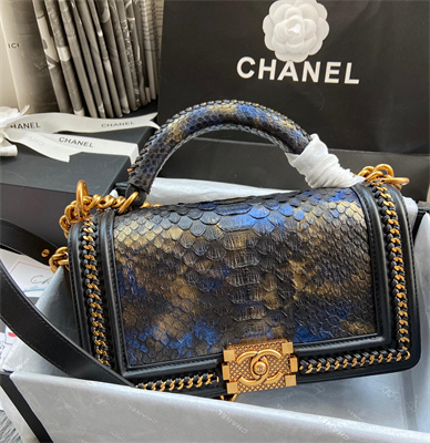 Cha.nel Medium Leboy Bag With Top Handle Python Leather Gold Metal A94804