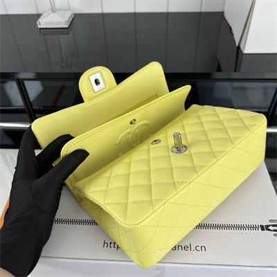 Cha.nel Small Classic Flap Bag Grained Calfskin Silver Tone Metal Yellow 01117