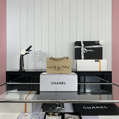 Cha.nel Small Classic Flap Bag Grained Calfskin Silver Tone Metal Beige 01117 (Flap Edge Stitch)