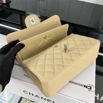 Cha.nel Small Classic Flap Bag Grained Calfskin Silver Tone Metal Beige 01117 (Flap Edge Stitch)