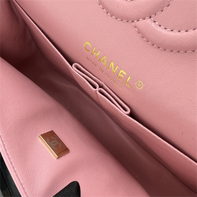 Cha.nel Small Classic Flap Bag Lambskin Gold Tone Metal Pink 01117