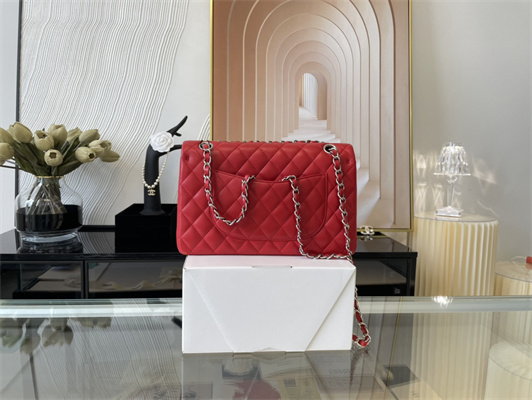 Cha.nel Medium Classic Flap Bag Lambskin Silver Tone Metal Red 01112