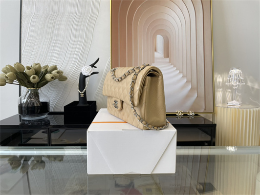 Cha.nel Medium Classic Flap Bag Lambskin Silver Tone Metal Beige 01112