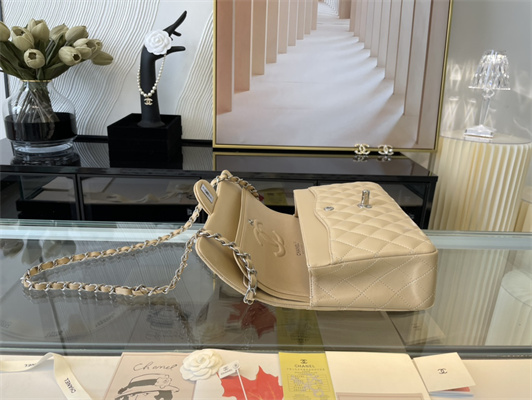Cha.nel Medium Classic Flap Bag Lambskin Silver Tone Metal Beige 01112