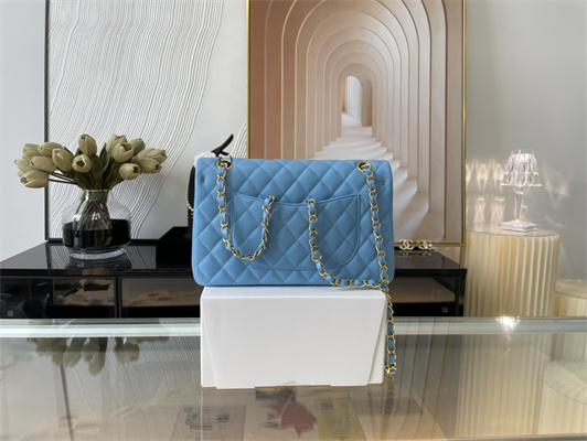 Cha.nel Medium Classic Flap Bag Lambskin Gold Tone Metal Blue 01112