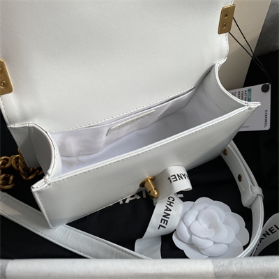 Cha.nel Small Leboy Bag Smooth Calfskin Aged Gold Metal White A67085