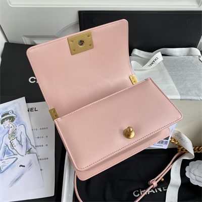 Cha.nel Small Leboy Bag Smooth Calfskin Aged Gold Metal Pink A67085