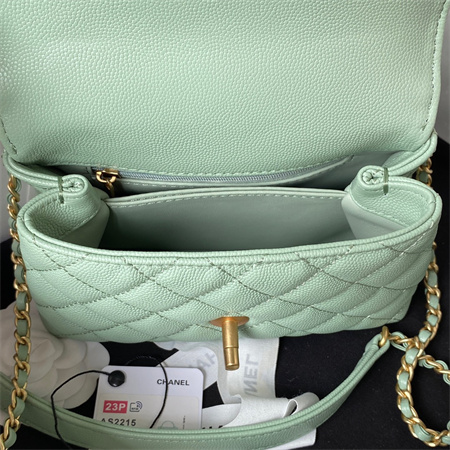 Cha.nel Mini Coco Handle Bag Grained Calfskin Aged Gold Metal Green AS2215