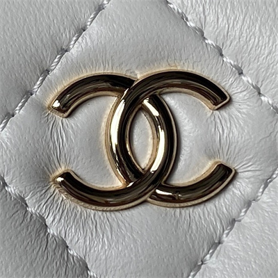 Cha.nel Vanity Case With Top Handle Lambskin Gold Tone Metal White AP2199