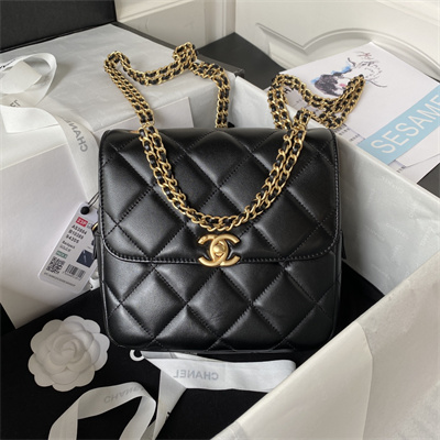 Cha.nel Backpack Lambskin Gold Tone Metal Black AS3884