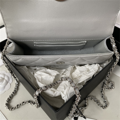 Cha.nel Clutch With Chain Top Handle Grained Calfskin Gold Tone Metal Silver AP3238