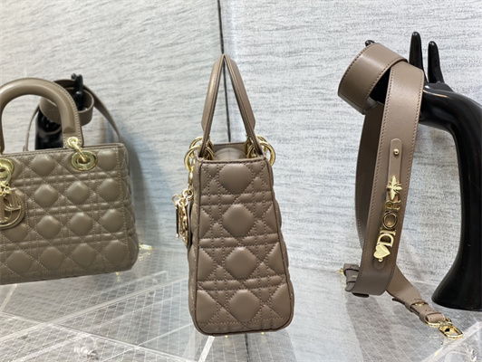 CD Small Lady Di.or My ABCDior Bag Cannage Lambskin Enamel Charms Gold Tone Metal Warm Taupe