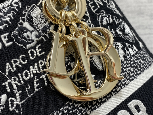 CD Medium Lady Di.or D-Lite Bag Plan de Paris Embroidery Black and White