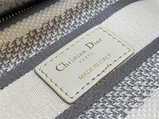 CD Medium Lady Di.or D-Lite Bag R??ve d’Infini  Embroidery White and Multicolor