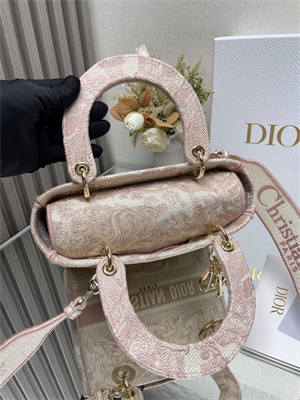 CD Medium Lady Di.or D-Lite Bag Toile de Jouy Embroidery Rose Des Vents