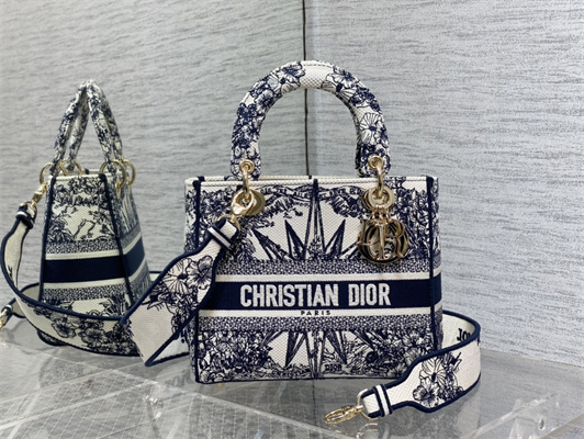 CD Medium Lady Di.or D-Lite Bag R??ve d’Infini  Embroidery Blue and White