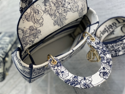 CD Medium Lady Di.or D-Lite Bag R??ve d’Infini  Embroidery Blue and White