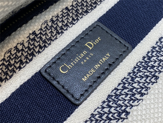 CD Medium Lady Di.or D-Lite Bag R??ve d’Infini  Embroidery Blue and White