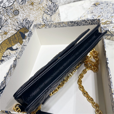 CD Caro Belt Pouch With Chain Supple Cannage Calfskin Gold Tone Metal Black