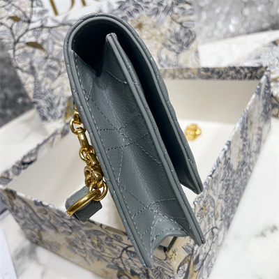 CD Caro Belt Pouch With Chain Supple Cannage Calfskin Gold Tone Metal Stone Grey