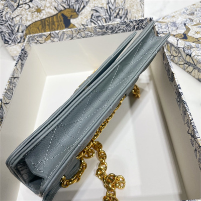 CD Caro Belt Pouch With Chain Supple Cannage Calfskin Gold Tone Metal Stone Grey