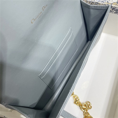 CD Caro Belt Pouch With Chain Supple Cannage Calfskin Gold Tone Metal Stone Grey