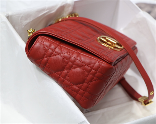 CD Medium Di.or Caro Bag Supple Cannage Calfskin Gold Tone Metal Red