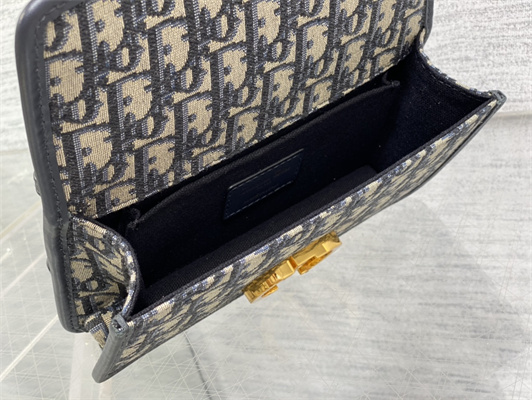 CD 30 Montaigne East-West Bag With Chain Blue Oblique Jacquard