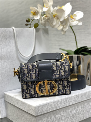 CD 30 Montaigne Box Bag Blue Oblique Jacquard
