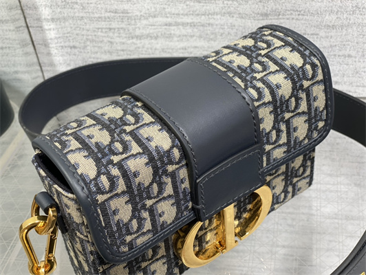 CD 30 Montaigne Box Bag Blue Oblique Jacquard