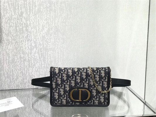 CD 30 Montaigne 2-In-1 Pouch Blue Oblique Jacquard