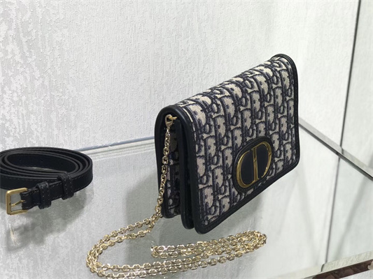 CD 30 Montaigne 2-In-1 Pouch Blue Oblique Jacquard