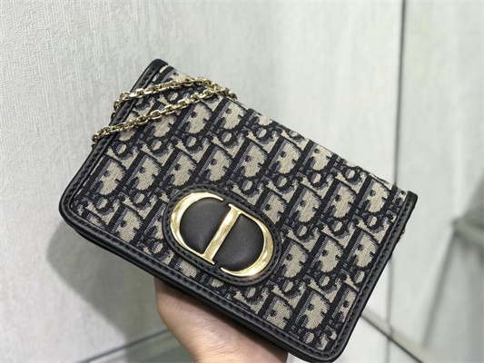 CD 30 Montaigne 2-In-1 Pouch Blue Oblique Jacquard