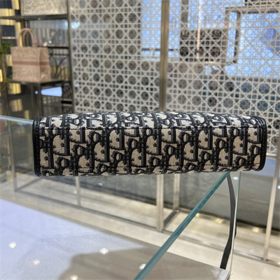 CD Medium 30 Montaigne Pouch Blue Oblique Jacquard